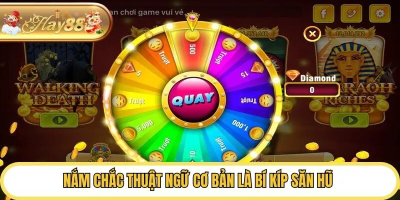 Nắm chắc thuật ngữ cơ bản là bí kíp săn hũ 